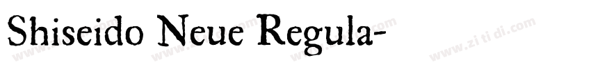 Shiseido Neue Regula字体转换 Shiseido Neue Regula字体转换